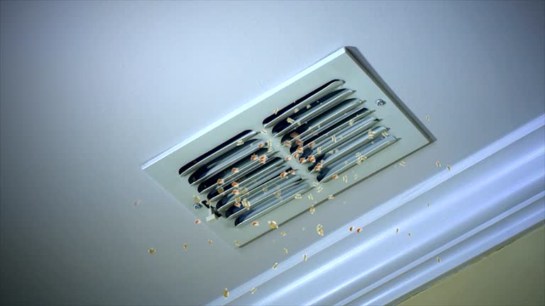 Best Air Duct Cleaning Near Me  in Keyser, WV
