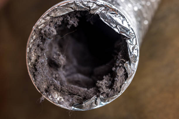 Best General Air Duct Cleaning  in Keyser, WV