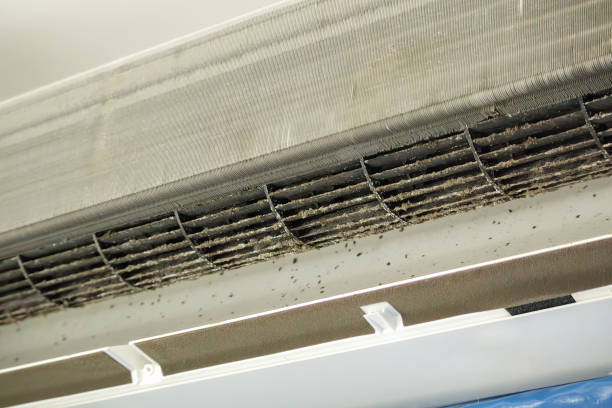 Best Best Air Duct Cleaning Near Me  in Keyser, WV